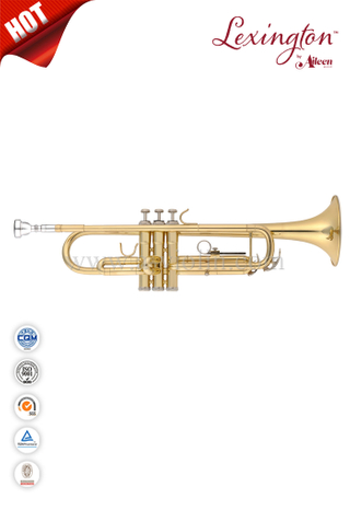 Bb key Student Trumpet (TP8001G)