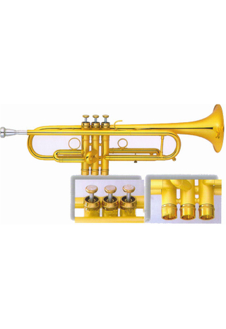 bB Key trompeta pesada de alto grado (TP-H4600G)