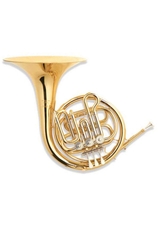 bB Key Junior Grade 3-keys French Horn (FH-C3400G)