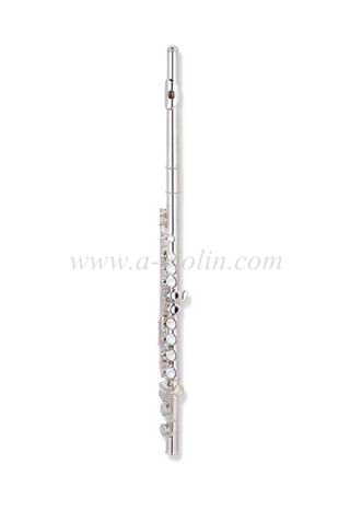 Flauta para niños de 16 teclas con orificio cerrado de grado medio (FL-M4000NE)