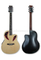 Encuadernación en ABS Guitarra de corte redondo y ovalado de 41 pulgadas (AFO229CE-41)