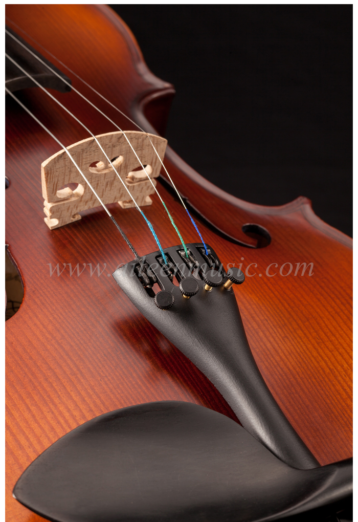 Conjunto de violín de estudiante avanzado de Solidwood con todos los accesorios seleccionados (VG107S)