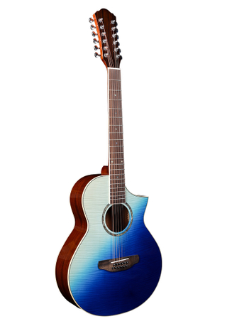 Guitarra acústica Mini Jumb de 12 cuerdas (AF196LC‐12)