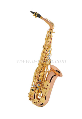 Saxofón alto (modelo de estudiante avanzado) - Estilo Y (SP1012R-G)