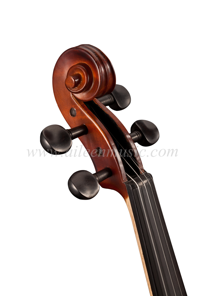 Conjunto de violín de estudiante avanzado de Solidwood con todos los accesorios seleccionados (VG107S)
